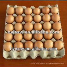 Chicken Egg Packaging